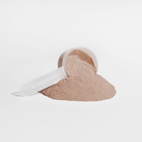 Plant Protein Chocolate 21g Protein, Muscle Recovery, Weight